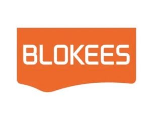 Transformers Blokees Plastic Model do Złożenia Classic Class 12 Megatron