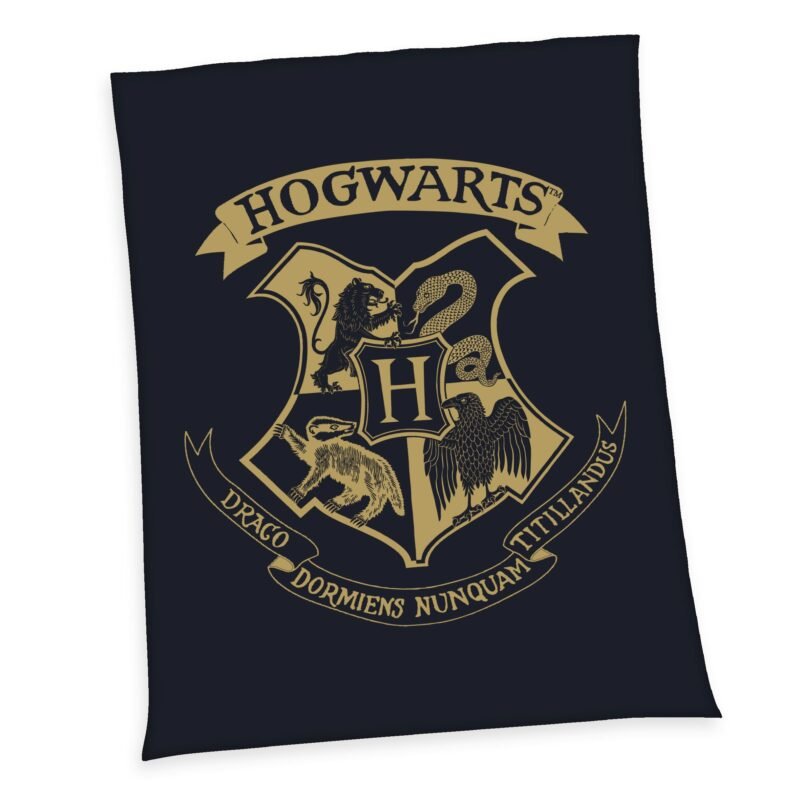 Koc polarowy Koc polarowy Harry Potter Hogwarts 150 x 200 cm