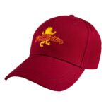 Czapka Harry Potter Curved Bill Cap Gryffindor