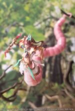 x_ktoar011_s Model Arcanadea Meltina 20 cm