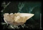 Kubek Harry Potter Replika Crystal Kubek