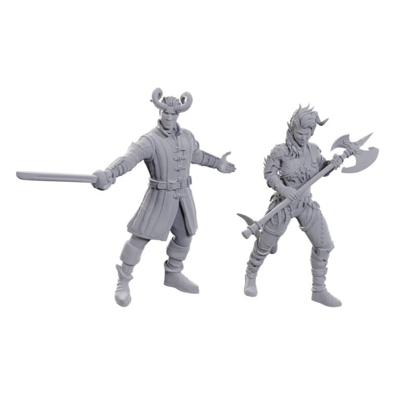 x_wiz96367 D&D Nolzur's Marvelous Miniatures Unpainted Miniature Wyll & Karlach